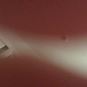 Meet your Posher, Esther